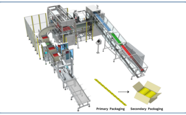 Automated Case Packer for Strip of Pouches (ICS-200)