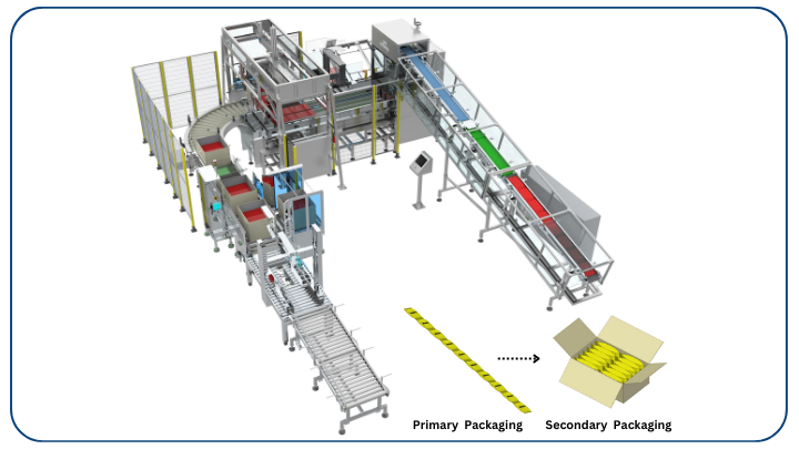 Automated Case Packer for Strip of Pouches (ICS-200)